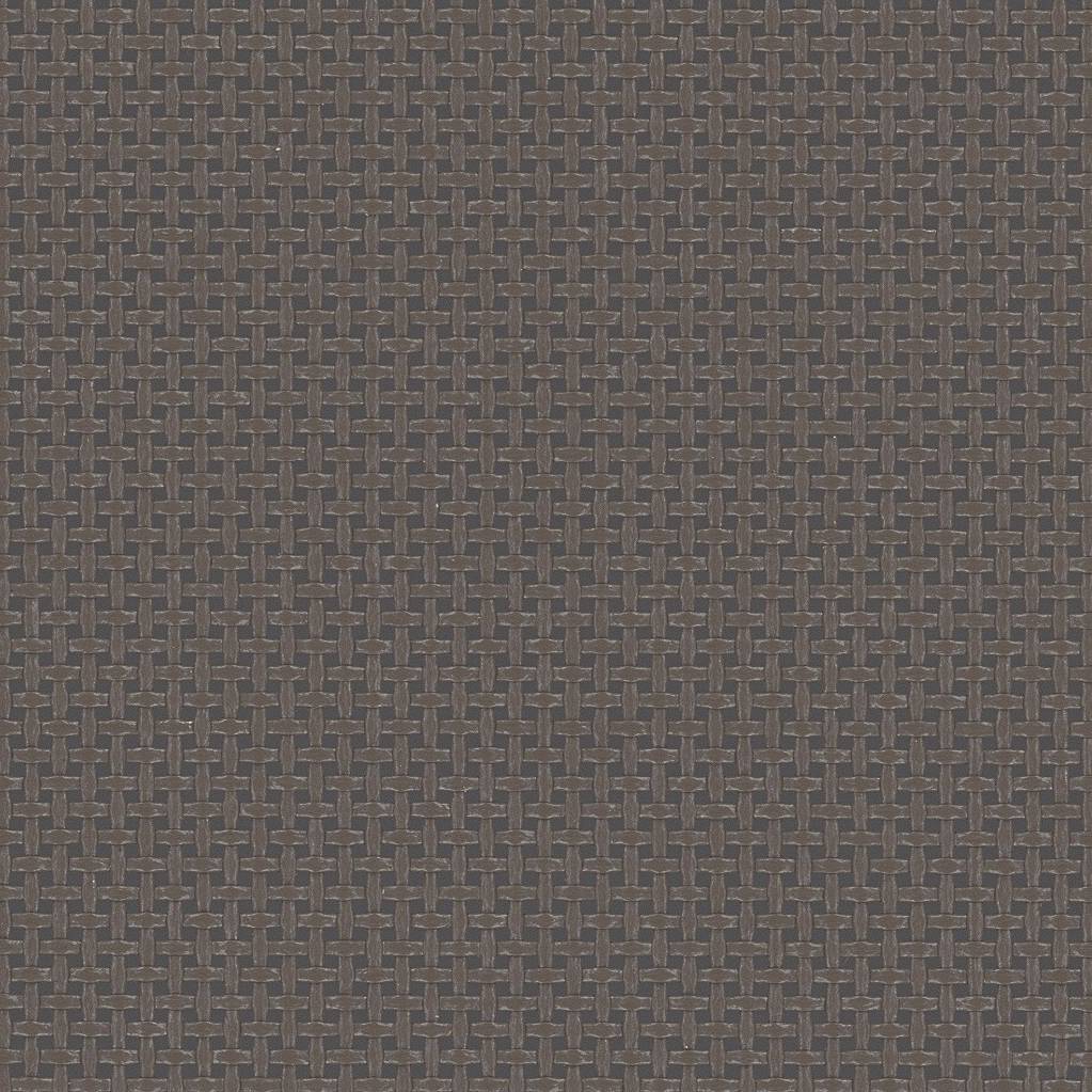 XQI Bronze