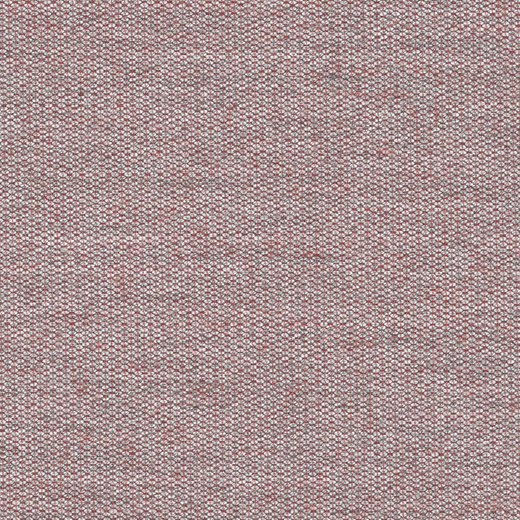 Rose Uni